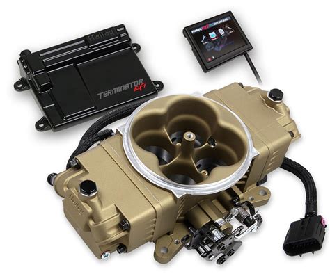 Holley terminator. But in general#, the cost of a Holley Terminator EFI Throttle Body Fuel Injection System ranges from around $2#,750 to $3#,600 for a Holley Terminator EFI 4bbl Throttle Body Fuel Injection System With Transmission Control. Regardless which Holley EFI system you choose#, JEGS is proud to offer it at a competitive price. 