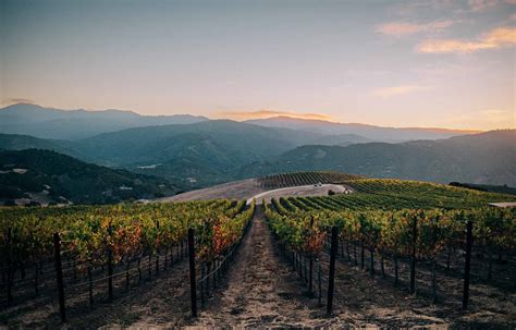 Holman ranch. The 2022 Holman Ranch wines show the consistency and integrity of a vineyard that was able to thrive in one of the most challenging ... 60 Holman Road (831) 659-2640 Private Estate, by Appointment Only. Schedule a Tour. Tasting Room. 18 W Carmel Valley Road (831) 659-2640, ext. 2 Open Thursday–Monday: 12–6pm. Make a Reservation . Join Our ... 