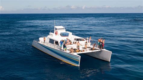 Holo holo charters kauai. Holo Holo Charters: Amazing cruise! - See 7,885 traveler reviews, 1,979 candid photos, and great deals for Kauai, HI, at Tripadvisor. 