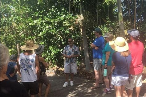 Holualoa Coffee and Chocolate Plantation 2-hour Guided Tour 2024 - Big …