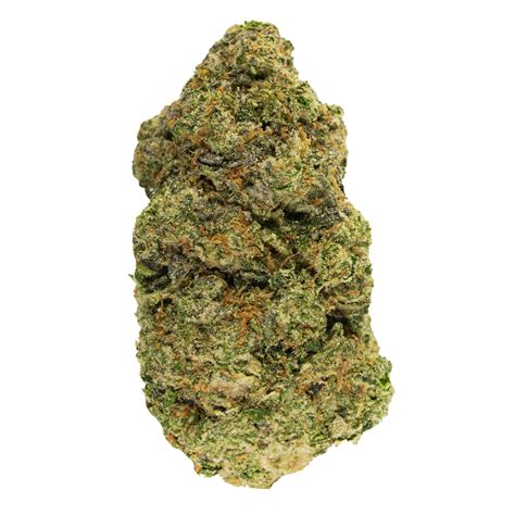 Holy gelato strain. That's where Vanilla Gelato from Holy Mountain comes in. This is an appetizing blend of Kush, herbal and diesel notes with sweet and floral confectionery aromas ... 