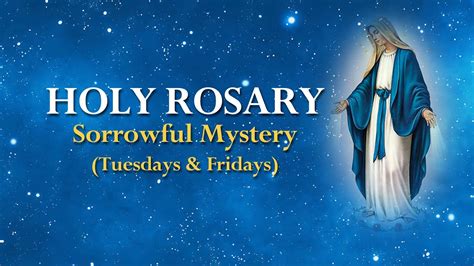 holy rosary and devotions with the franciscan missionaries of the eternal word. 
