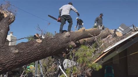 Hombre muere luego de que un árbol cayera sobre su casa durante una tormenta