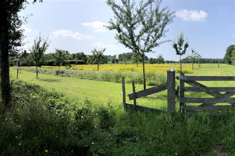 Home » Brabantslandschap.nl