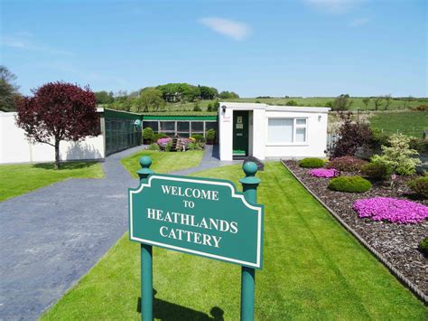 Home - Heathlands Cattery