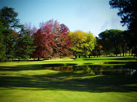 Home - Olivos Golf Club