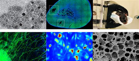 Home - rosenfeld-lab.com Home Nano-engineering for cell …