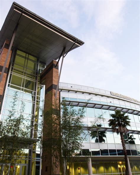 Home College of Engineering and Computer Science