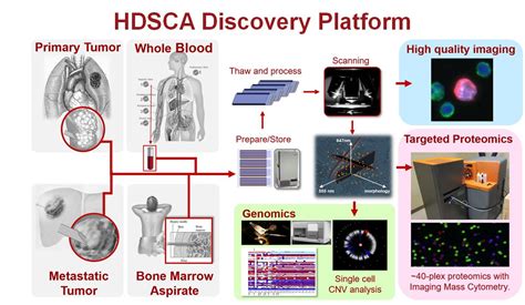 Home Page - CSI-CANCER