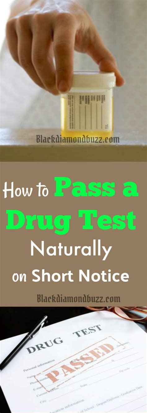 Home Remedies For Passing A Drug Test In 24 Hours