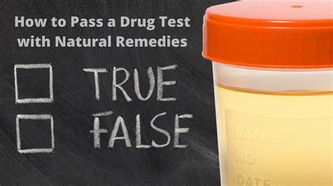 Home Remedies To Pass A Drug Test In A Day