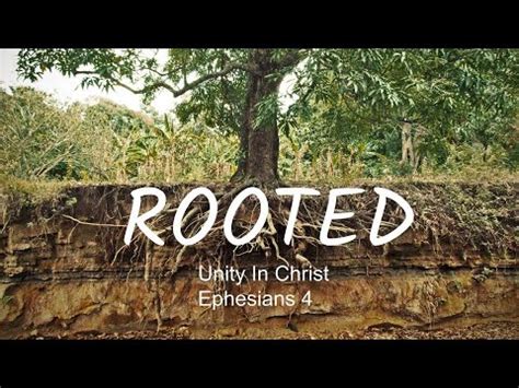 Home Rooted Unity