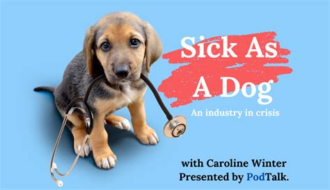 Home SickAsADog investigates the crisis in the vet profession