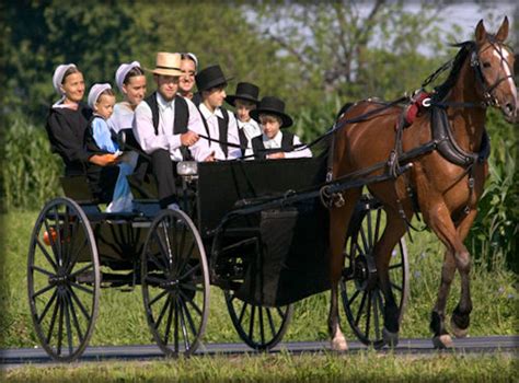 Home The Amish-Buggy - Great prices on all Amish …