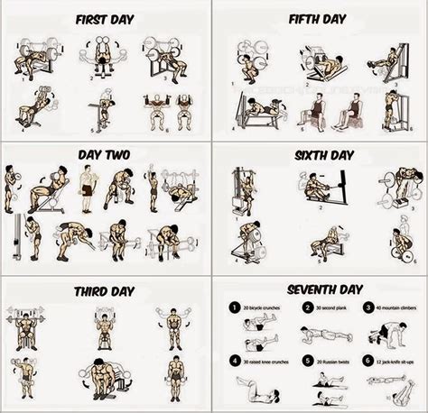 Home Workout Routine Muscle Building Exercises