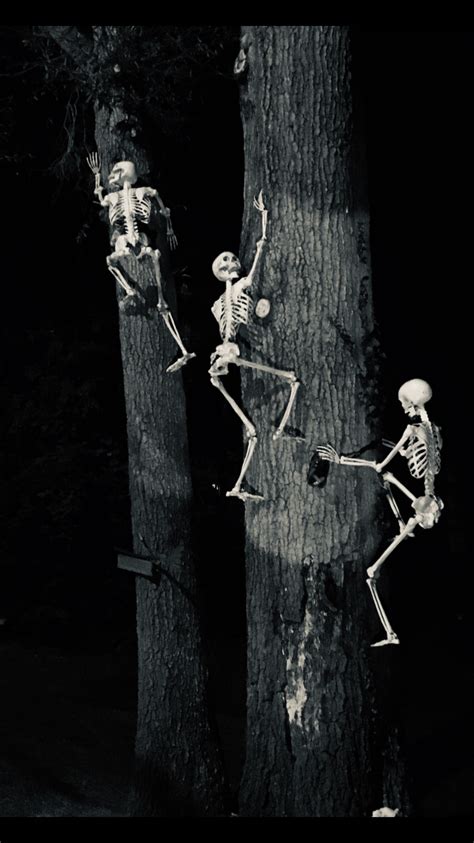 Home depot skeleton creeper. 1. Selling of 12 foot Skelly ONLY at retail ($299) We encourage trying to help out others find or obtain the 12 foot skeleton, or parts to the 12 footer, however If you are going to sell anything it must be: 1) The 12 foot skeleton itself. 2) The price must be in description (no DMs about price). 3) It must be sold at retail price ($299) or ... 