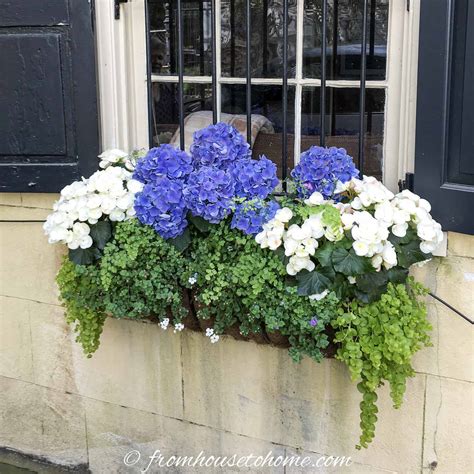 Home flowerbox