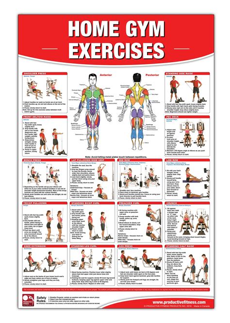 Home gym exercise booklet manual chart. - Paddling maryland and washington dc a guide to the area.