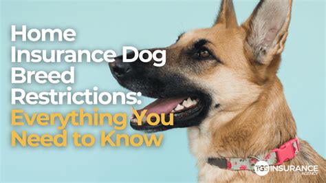 Home insurance that covers dogs. Things To Know About Home insurance that covers dogs. 
