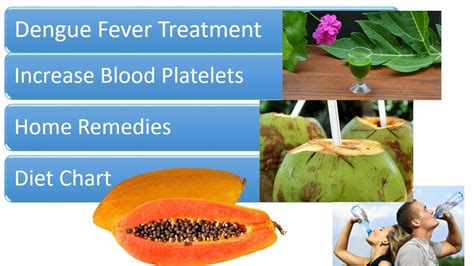 Home remedies to increase platelets in dengue
