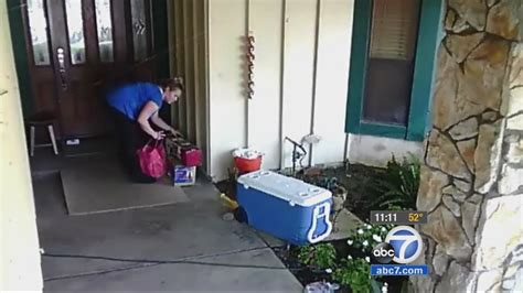 Home security camera captures woman posing as Amazon driver stealing packages from home in NW Miami-Dade