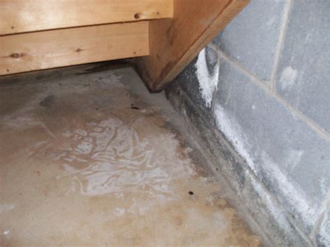 Home warranty basement leaks. One basement flood is bad enough. It’s hard to know what to do if basement floods plague your home. Fortunately, a home warranty for basement leaks can help you manage basement water damage. They can also help you update your home to reduce the risk of leaks and flooding. Liberty Home Guard is here to help you learn more. Call us at (833)-544 ... 