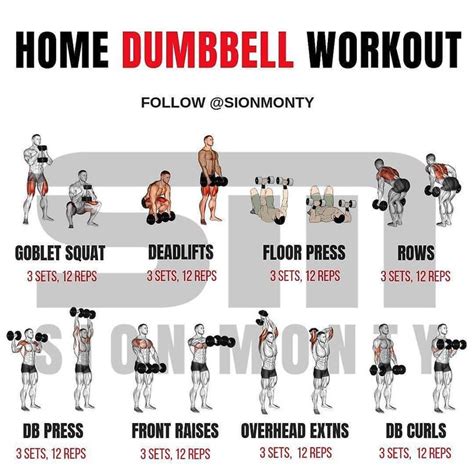 Jun 22, 2017 · The following workout is designed for those who only have access to a set of dumbbells. It’s perfect for those who work out at home, travel and are on the road a lot, or beginners who are new to weight lifting. It can be performed as a complete workout program for up to 8 weeks. . 