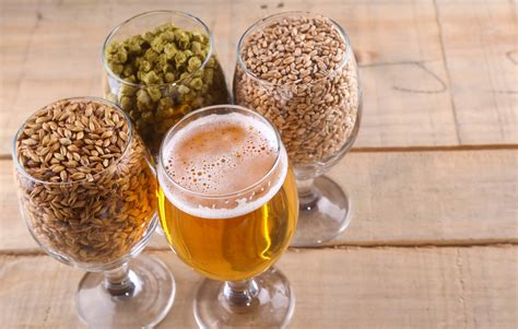 Homebrew Beer Hops - For All Your Home Brewing The Malt …