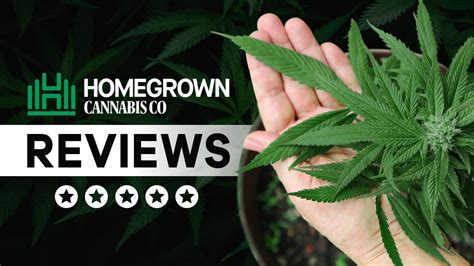 Homegrown Cannabis Co. Reviews 2024: Pros, Cons & HONEST Customer Feedback