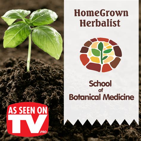 Homegrown herbalist. Things To Know About Homegrown herbalist. 