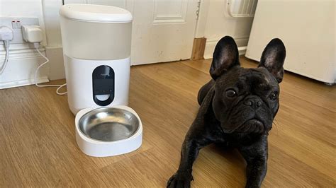 Homekit pet feeder.  Installation & Warranty available in UAE.  Once they're cl...