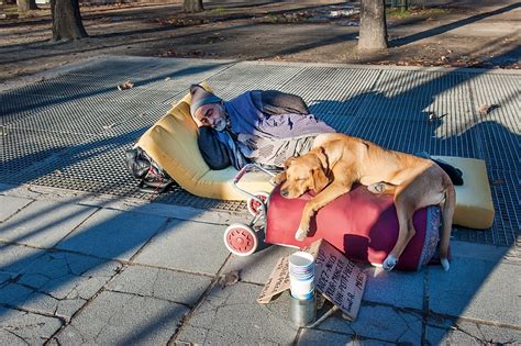 Homeless shelters that allow pets. St. Vincent de Paul started their companion animal program in 2021 because of an overwhelming need for pet resources by people experiencing homelessness. Last year, St. Vincent de Paul sheltered ... 