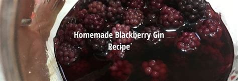 Homemade Blackberry Gin Recipe [Bramble Gin] - Lets Grow Cook