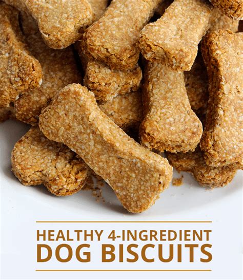 Homemade Dog Biscuits - Top Recipes For Making Your Own Treats