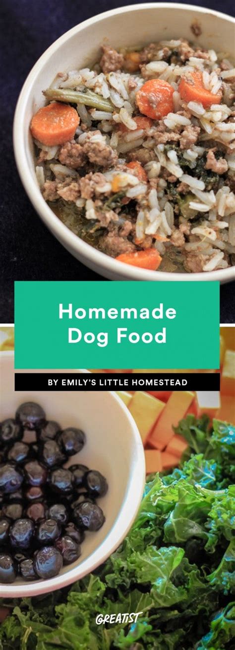 Homemade Dog Food: 6 Recipes Delicious Enough for Humans to …