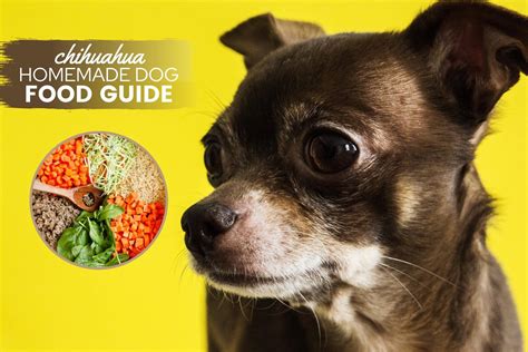 Homemade Dog Food For Chihuahuas Guide: Recipes, Nutrition