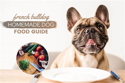 Homemade Dog Food For French Bulldog Puppy