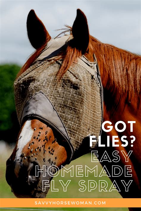 Homemade Fly Spray for Horses {Printable} - Savvy Horsewoman