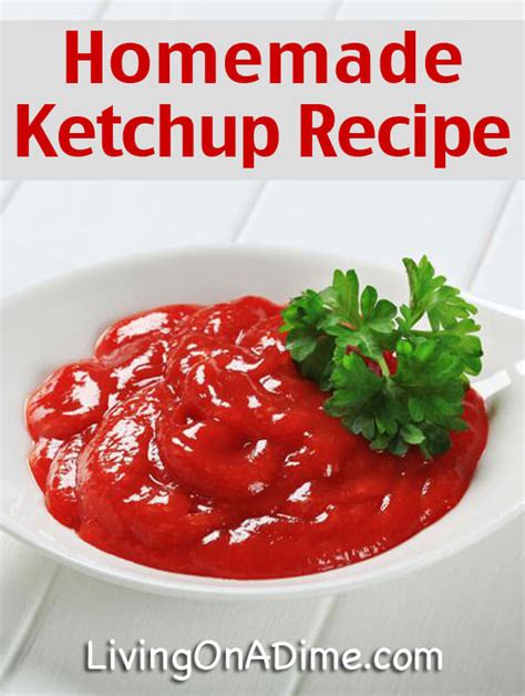 Homemade Ketchup Recipe - Living On A Dime