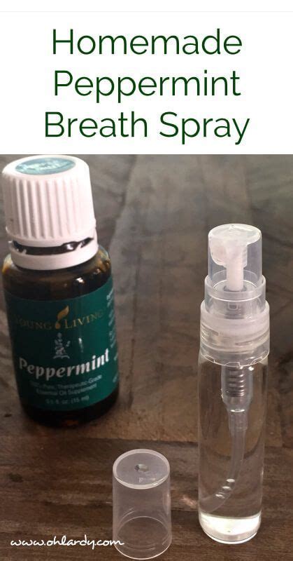 Homemade Peppermint Breath Spray - Oh Lardy