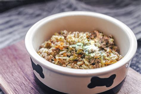 Homemade dog food for constipation. .  ...