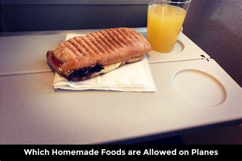 Homemade food allowed in flight
