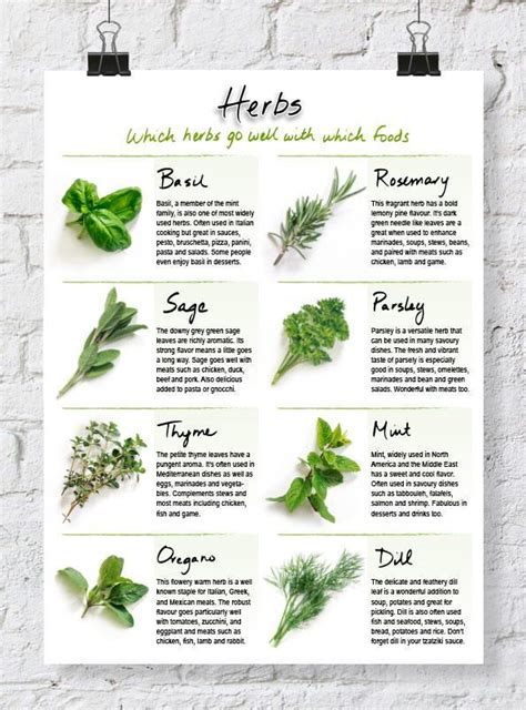 Homemade herbal medicine your essential guide to herbs and diy remedies for health and healing medicinal herbs. - Was ist der mensch, dass du seiner gedenkst? (psalm 8,5).
