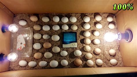 Homemade incubator. .  <a href=http://contratos.desarrollamelo.com/assets/images/dotsmt/index.p...
