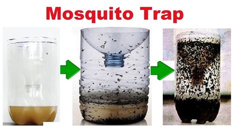 Homemade mosquito trap. Mix an equal amount of 70% isopropyl alcohol and water into a spray bottle. Spray the solution (alcohol and water) on the screen to kill them, avoiding the central fan motor. You can now leave the screen of dead mosquitoes outside to feed other animals, or shake them into an exterior trash can. The screen is reusable. 