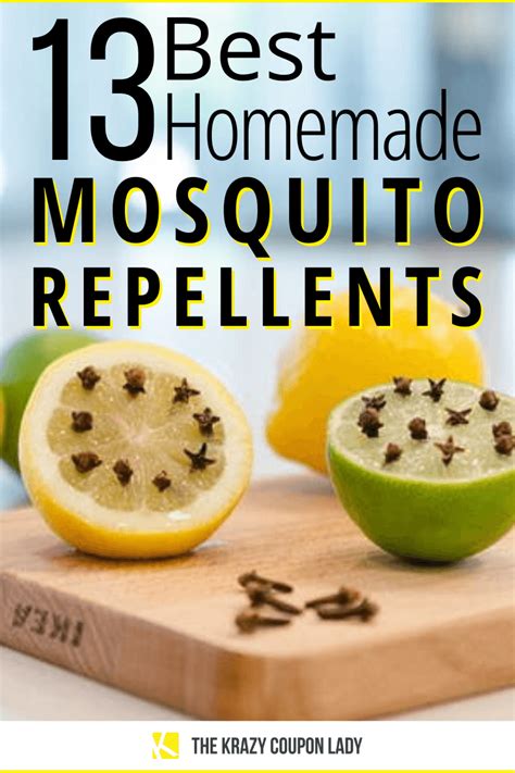 Download Homemade Repellents 31 Organic Repellents And Natural Home Remedies To Get Rid Of Bugs Prevent Bug Bites And Heal Bee Stings Homemade Repellents Natural  Homesteading How To Get Rid Of Bed Bugs By Daniel Beaumont