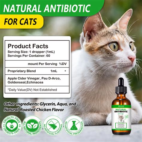 Homeopathic antibiotic for cats.  #minidachshund #dachshund #pitbull&rdquo;.  ...