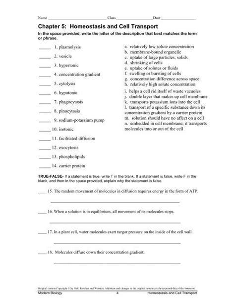 Homeostasis And Cell Transport Answers