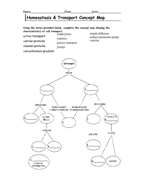 Homeostasis And Cell Transport Concept Map Answers