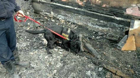 Homeowner accused of arson in fire that killed dog